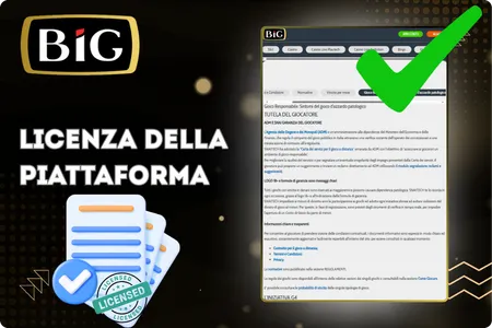 Big Casino Licenza
